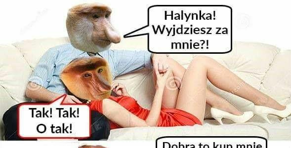 Janusz romantyk 