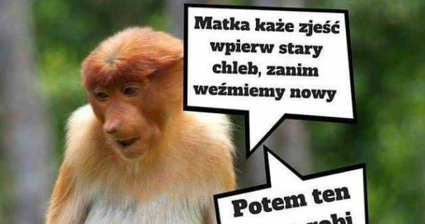 Jedzenie chleba takie jest 
