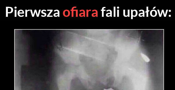 Pierwsza ofiara upałów :D 