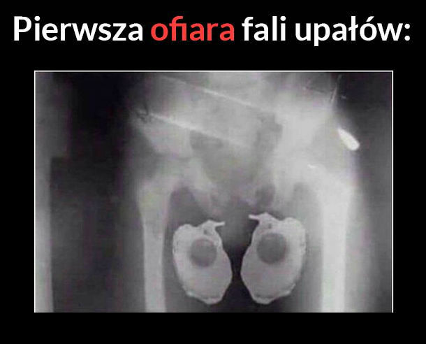 Pierwsza ofiara upałów :D 