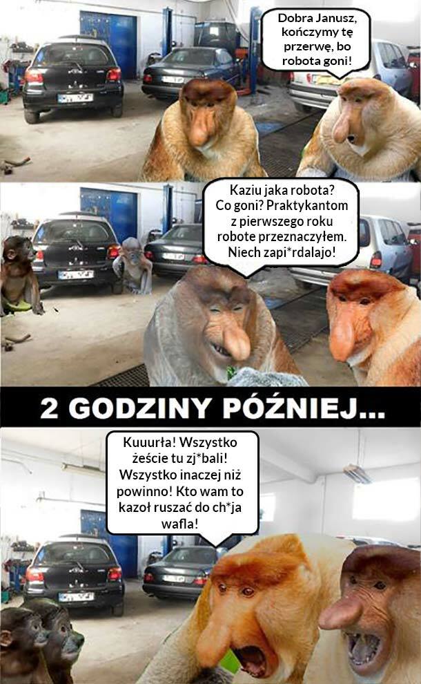 Praktykanci 