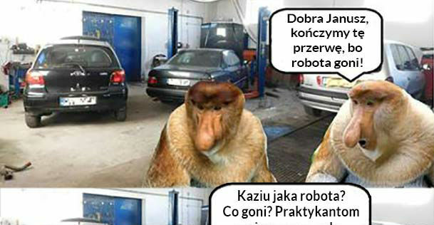 Praktykanci 