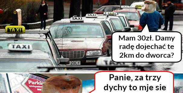 Typowy Janusz taksówkarz 