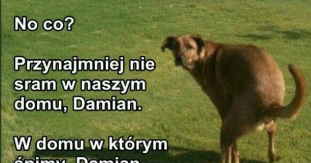 Wstydź się, Damian :D 