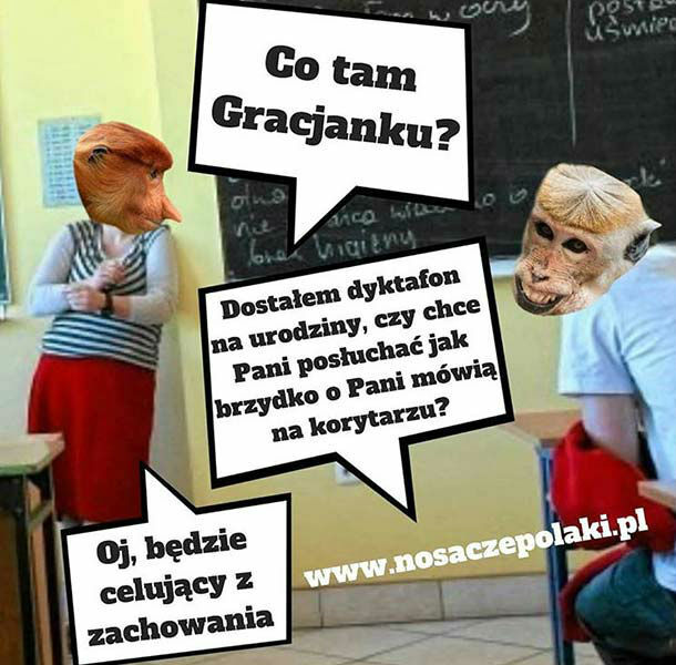 Gracjanek w akcji