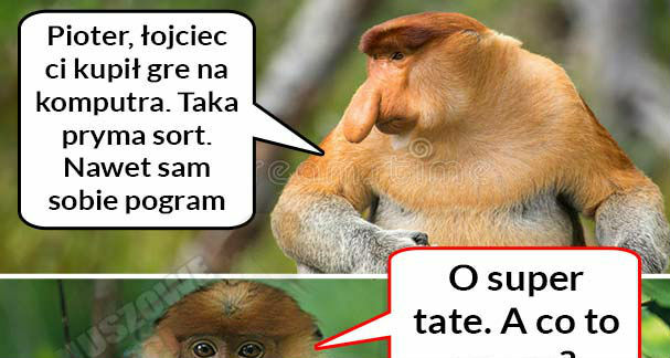 Idealna gra :D 