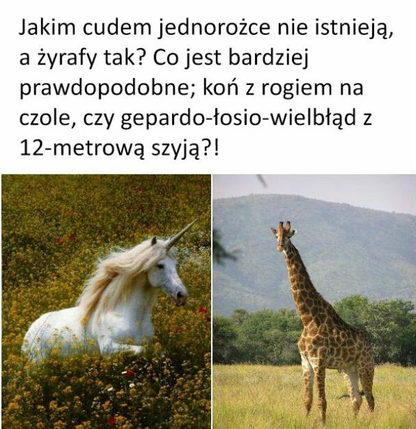 Jednorożec vs żyrafa 