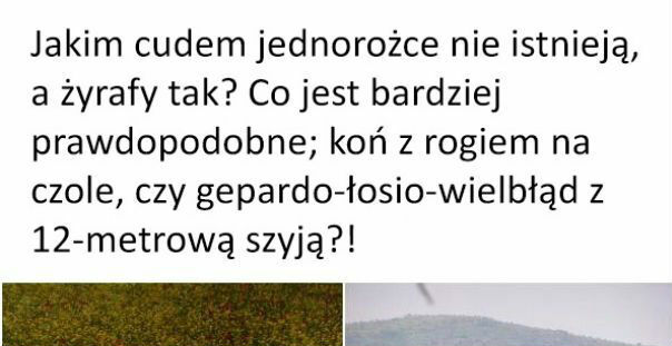 Jednorożec vs żyrafa 