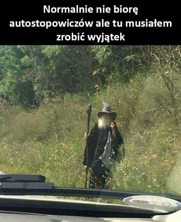 Nietypowy autostopowicz 