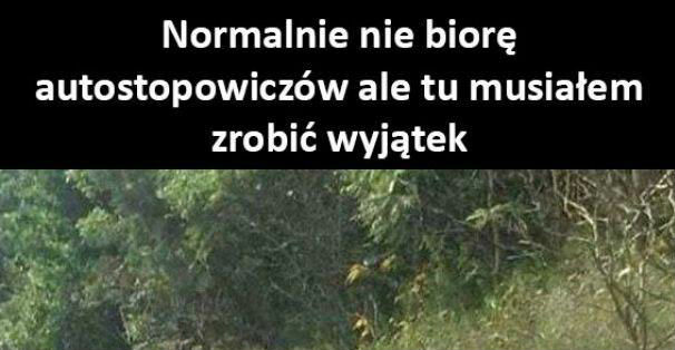 Nietypowy autostopowicz 