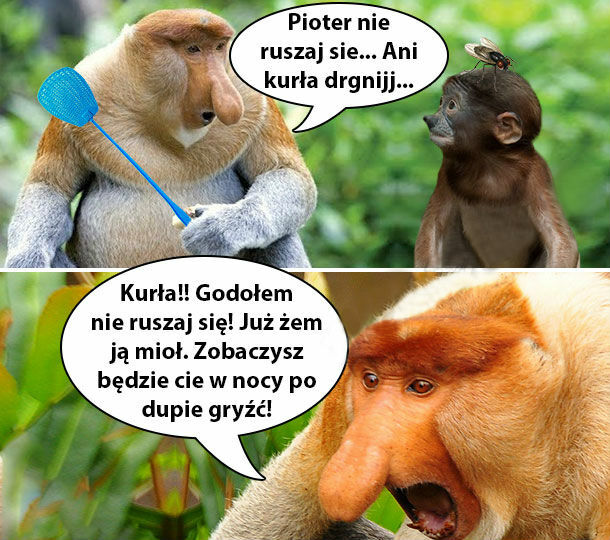 Doigrasz się Pioter 