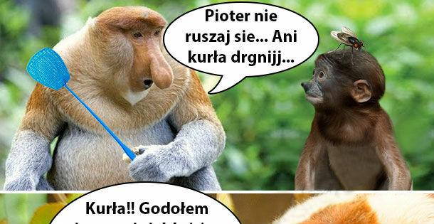 Doigrasz się Pioter 