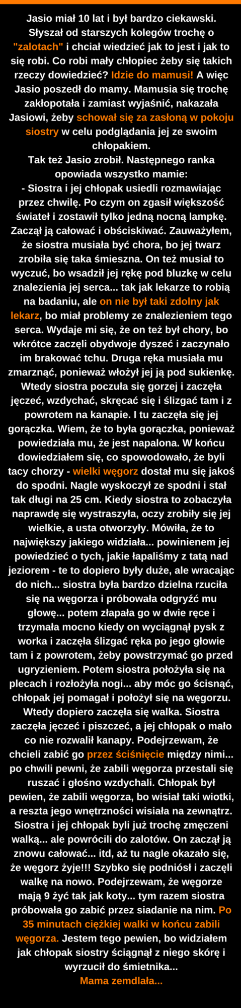 Ciekawski Jasio 