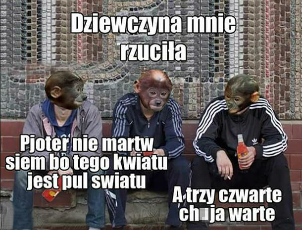 Kiedy Pioterka rzuci dziewczyna 