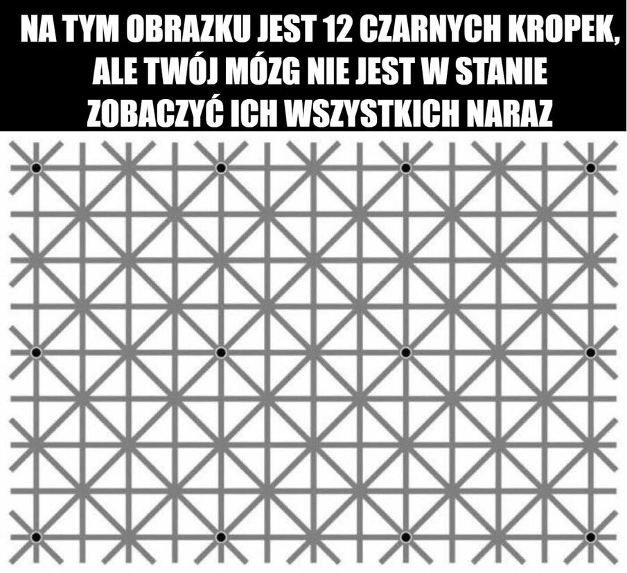 Czarne kropki 