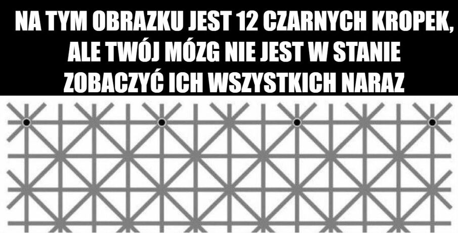 Czarne kropki 
