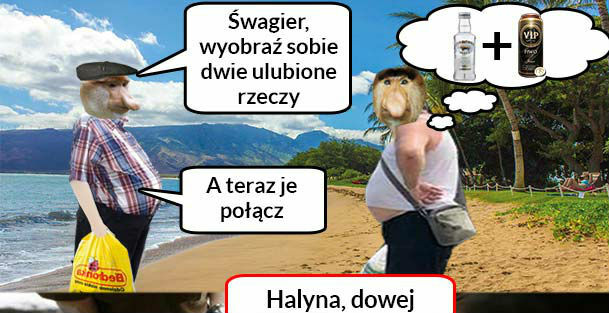 Połączenie pierwsza klasa 