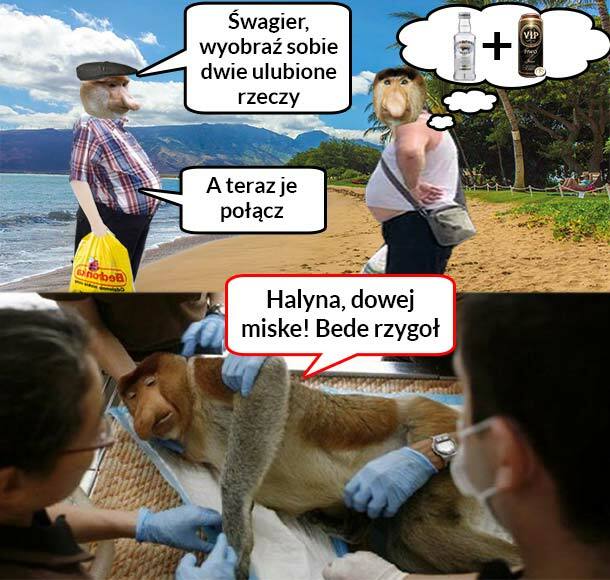 Połączenie pierwsza klasa 