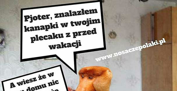 U Janusza nic się nie może zmarnować :D 