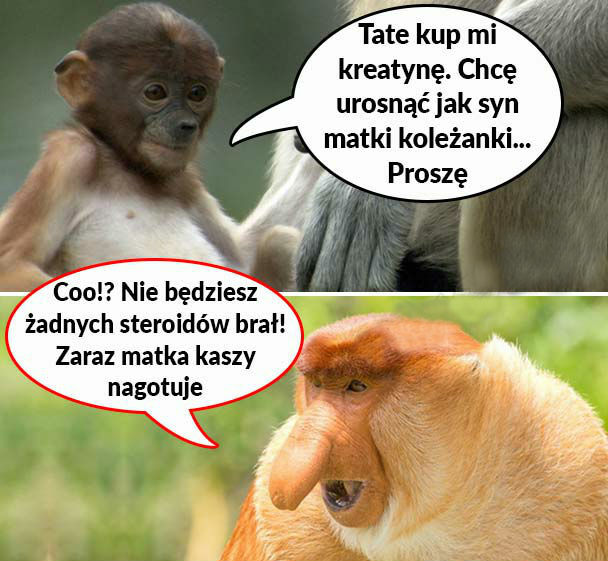 Żadnych sterydów! 