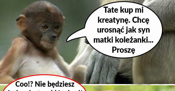 Żadnych sterydów! 