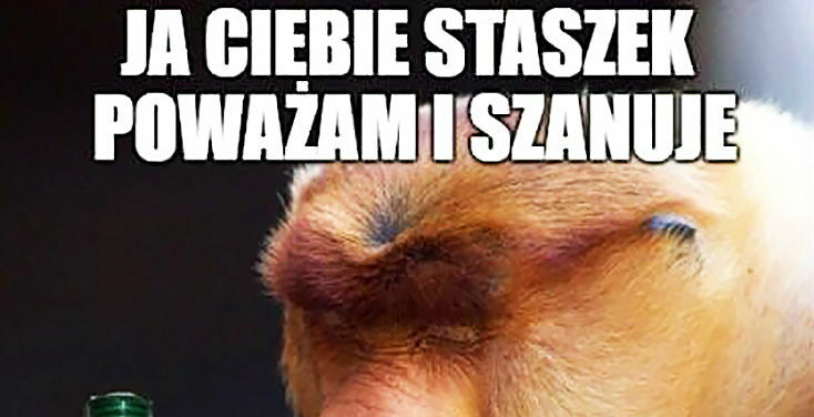 Uszanowanko 