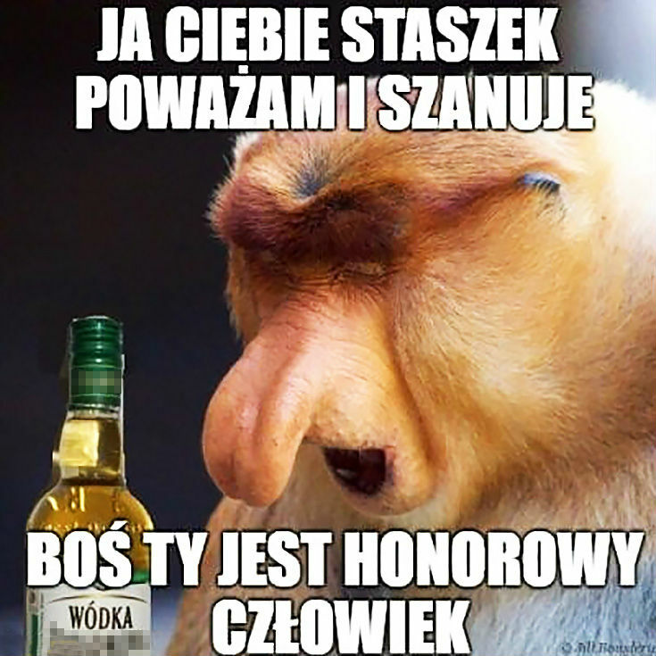Uszanowanko 