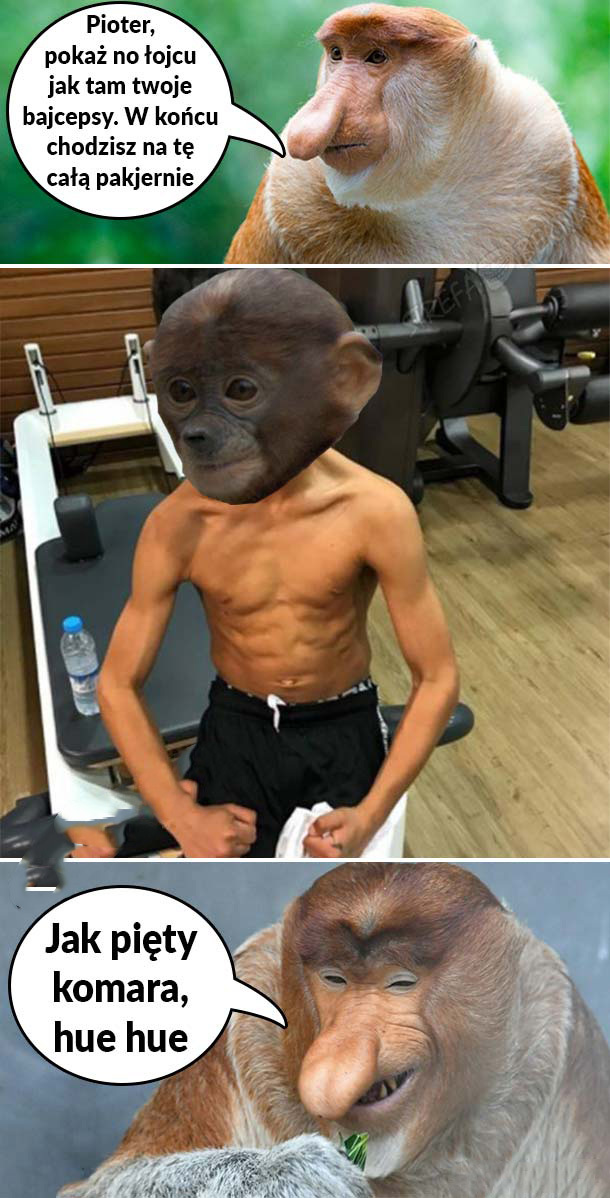 Pioter na pakjerni 