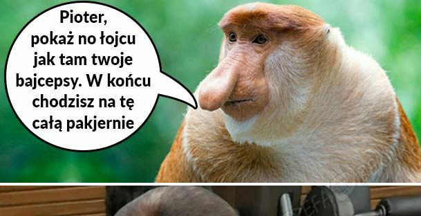 Pioter na pakjerni 