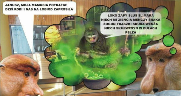 Potrawka u teściowej 