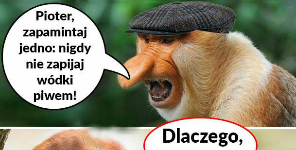 Tata dobrze radzi :D 