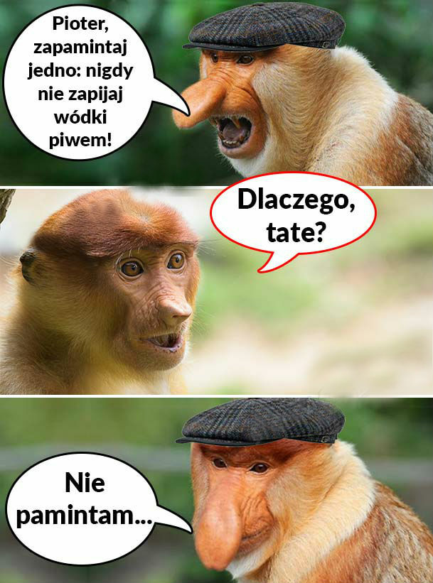 Tata dobrze radzi :D 