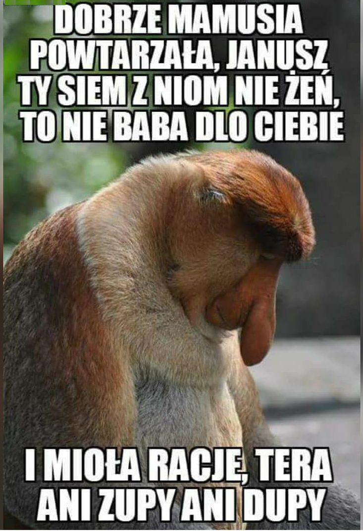 Trzeba było posłuchać matki...