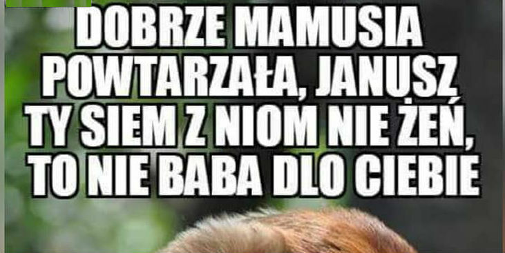 Trzeba było posłuchać matki...