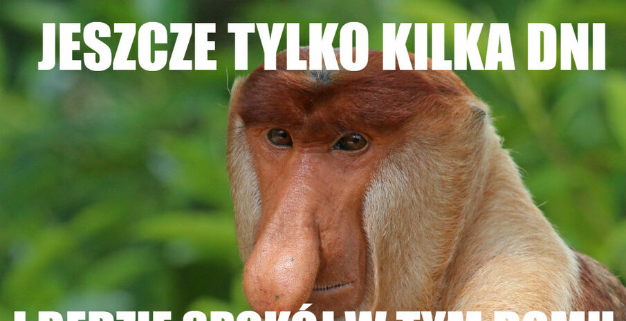Witaj szkoło :D 