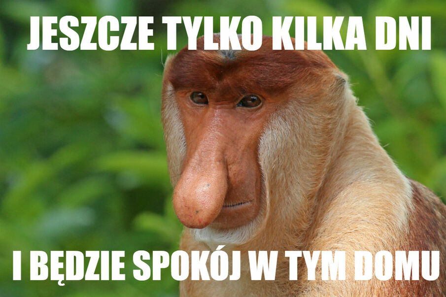 Witaj szkoło :D 