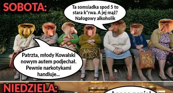 Grażynki w akcji