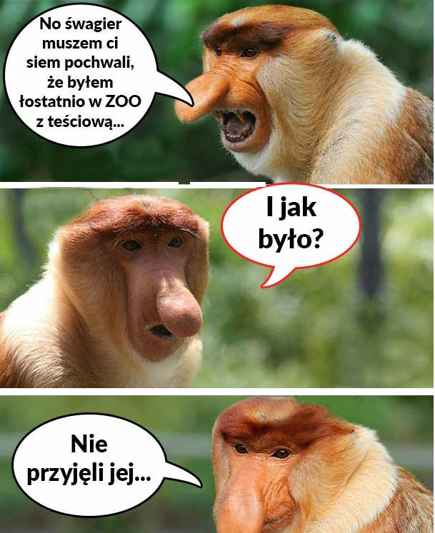 Janusz w zoo 