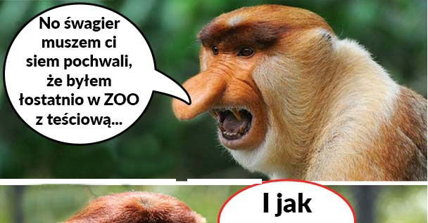Janusz w zoo 