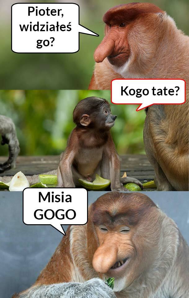 Widziałeś go? :D 