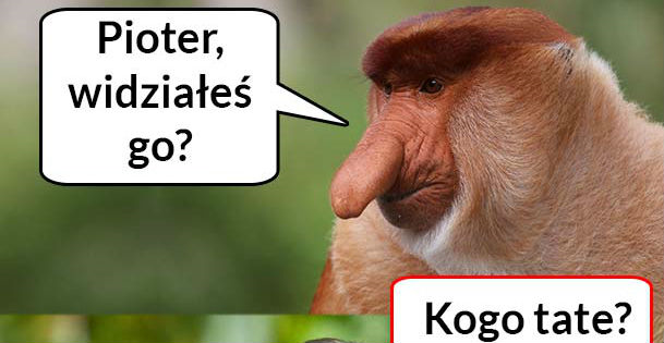 Widziałeś go? :D 
