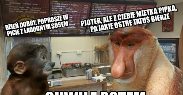 Janusz na kebsie 