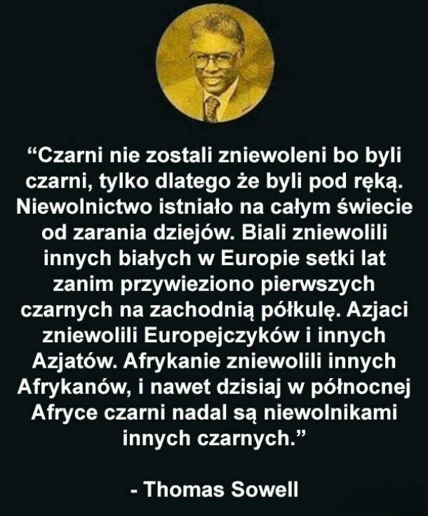 Cytat 