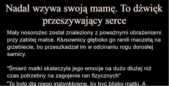 Historia łamiąca serce 