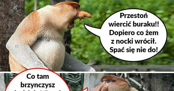 Rozmowa z somsiadem złodziejem 