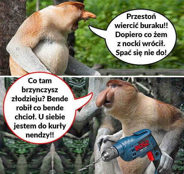 Rozmowa z somsiadem złodziejem 