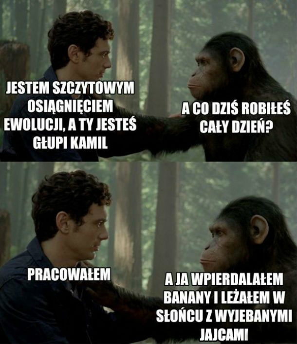Ewolucja 