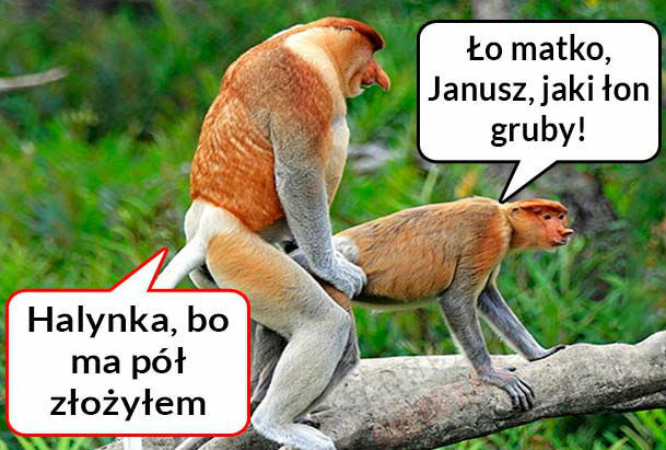 Kiedy Janusz nie trafi :D 