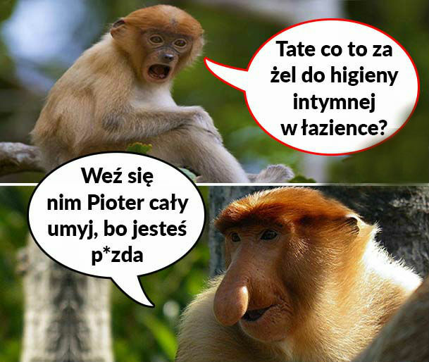 Janusz dobrze radzi :D 