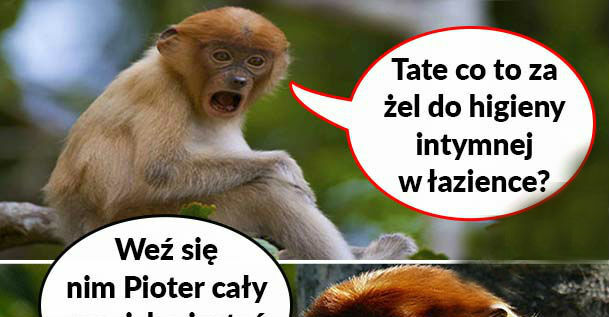Janusz dobrze radzi :D 